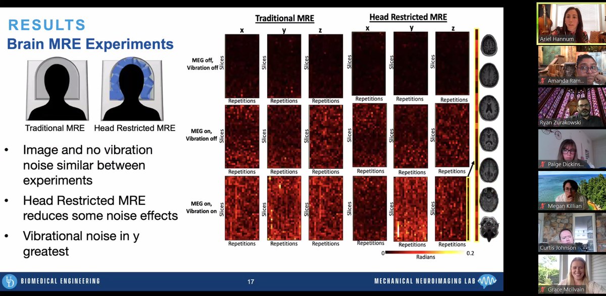 Biomedical Engineering @ UDEL tweet media