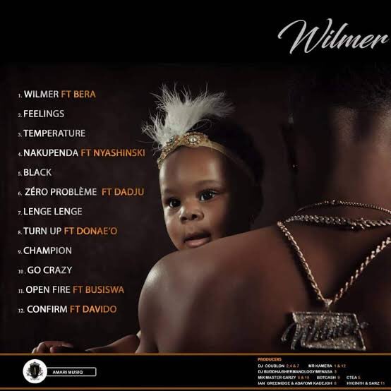 wilmer- Patoranking