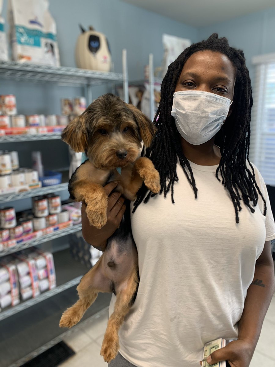NOLAAnimalC's tweet photo. These pictures are from the Easter weekend. Everybody was getting fresh! On top of that, they’re socially distancing and protecting themselves while at it! 🤩 #NOLAAnimalClinic #NOLAForPets https://t.co/ns3wEUr1L8