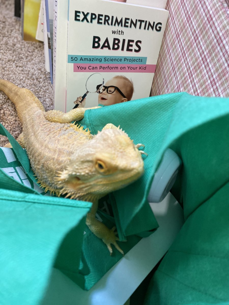 Sarah Roberts tweet media