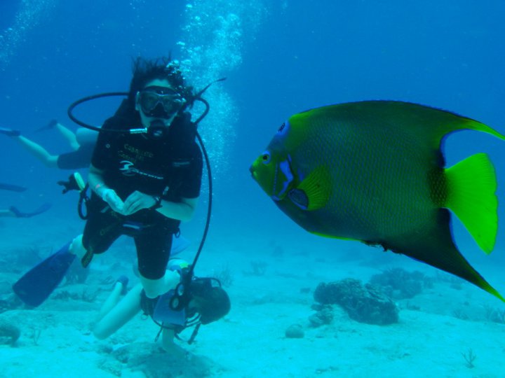 Yborda99's tweet photo. ''Cuando percepción del ser es espontáneo y libre de expresar tu esencia" by @Yborda99 . #tbt #Cozumel #Diving #Freestyle Photo by @Yborda99 https://t.co/hurapvjU3Q