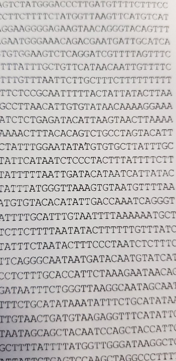 A little DNA sequence (pretty random tbh, but I love DNA sequences)