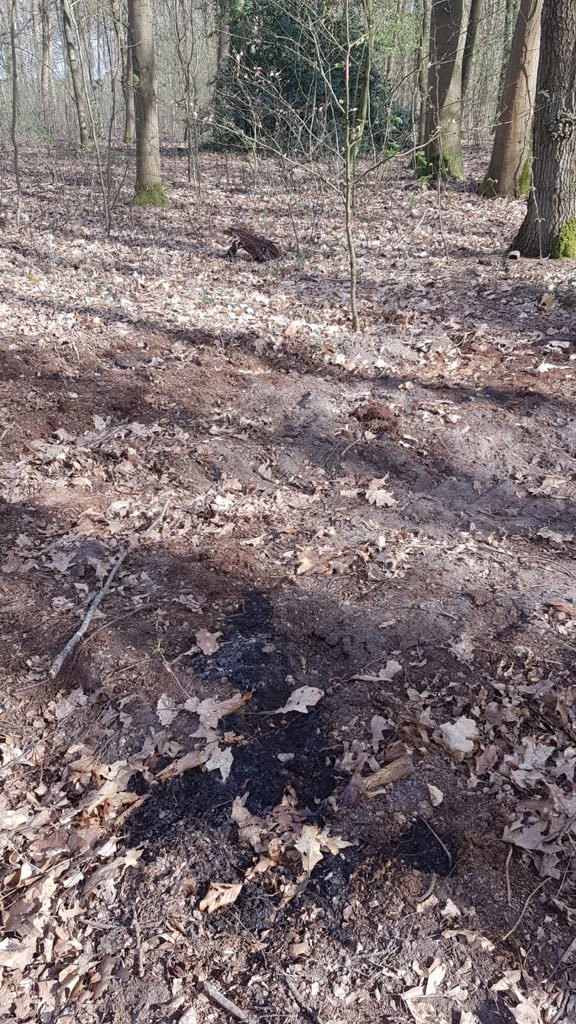 mjhniessen's tweet photo. Gevaar natuurbrand ! Vandaag beginnende bosbrand @Gemeente_Beesel @LandgoedBeesel Oorzaak: sigarettenpeuk! https://t.co/kXwIBW7aIG