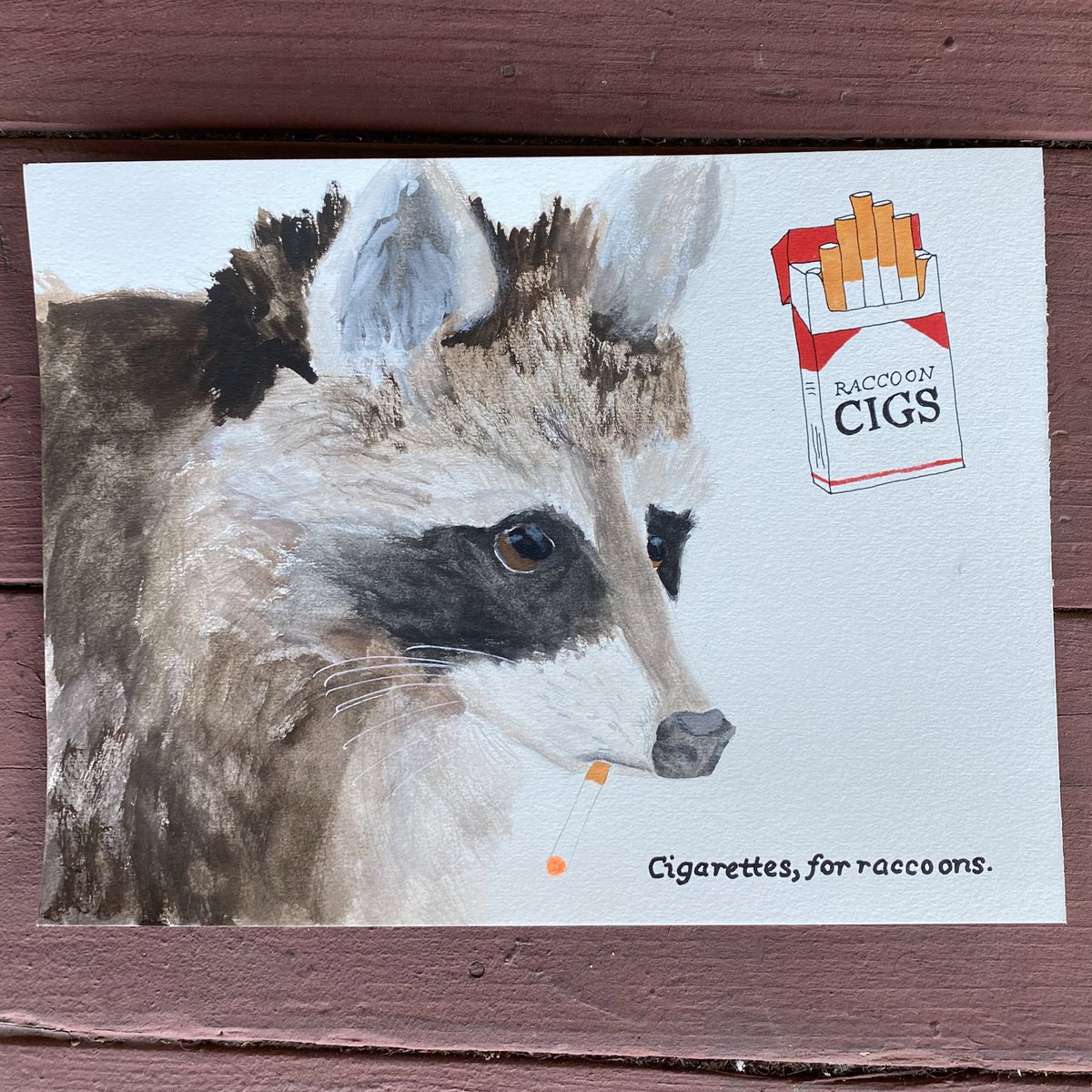 chrisfarren's tweet photo. Oops all raccoons https://t.co/GAyBsKll0k