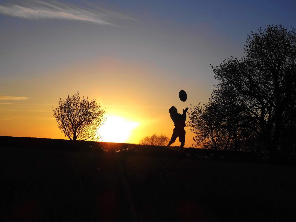 RomanyHerefords's tweet image. Could've spread last three SB fields with nitrogen tonight, could have....! #Priorities #goodforecast