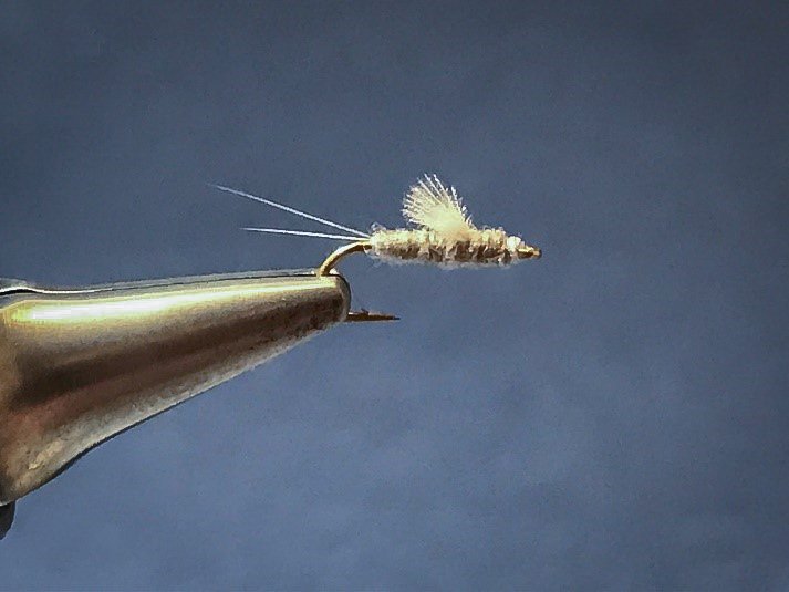 Paul Popovitch adds a RS2 tying tutorial to runsandriffles.com 
#coloradoflyfishing #colorado #troutbum #troutonthefly #tightlines #trout #flytying
