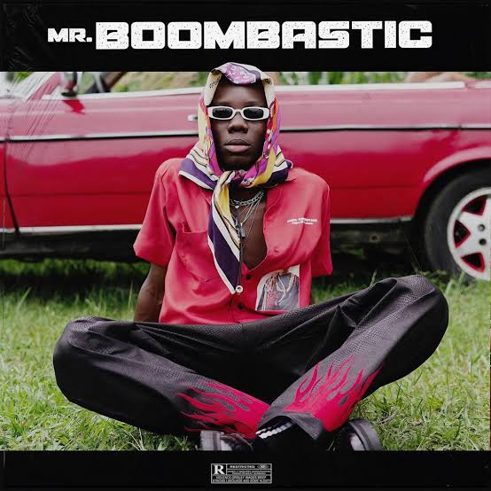 Mr Boombastic - blaqbonez