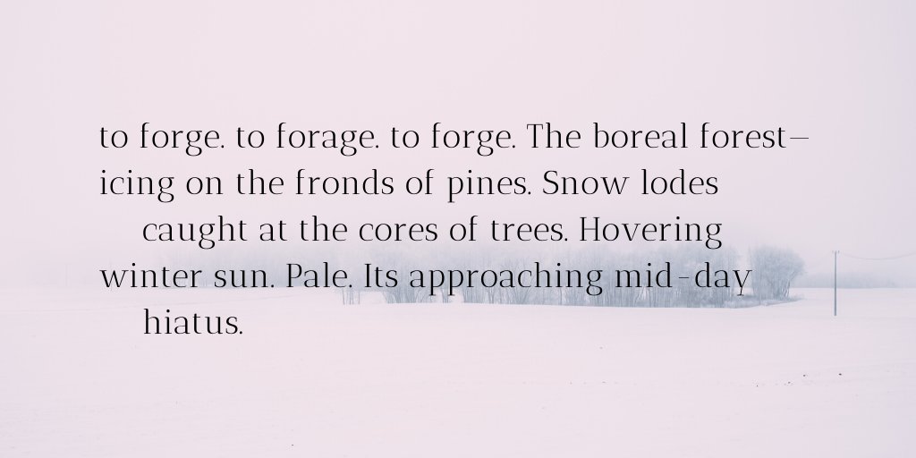 chicago_writing's tweet photo. "The Sampo," (The Cultural Society, 2016), Peter O'Leary's retelling of The Kalevala, a Finnish epic, is today's featured work for #NationalPoetryMonth!
Read a sample here: https://t.co/qZKRxBWSED
@CultSoc https://t.co/zCi7HplMfA