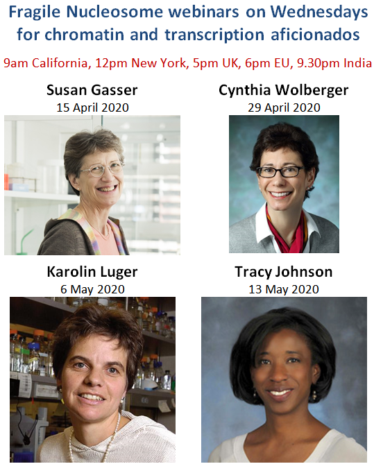 generegulation's tweet photo. Online seminars on chromatin and transcription organised by #FragileNucleosome are being scheduled until July! https://t.co/wJpvcdNR8A The next four great speakers are listed on the poster below. In the future it will be also complemented with shorter talks by junior scientists https://t.co/rfZdv4md9o