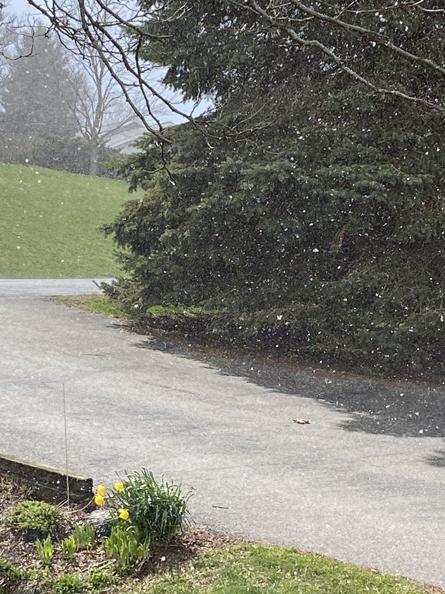 ajfuelling's tweet image. Sunshine and snow. In April. I still love Wisconsin. #IsThisATest