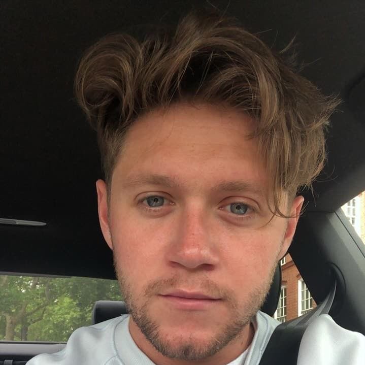 niall horan and his adorable selfies