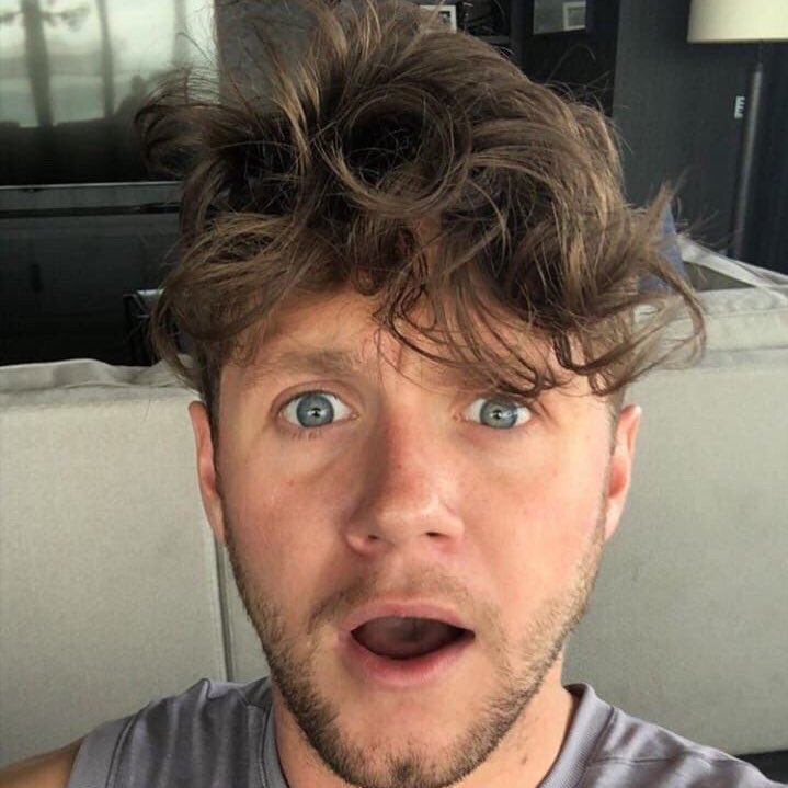 niall horan and his adorable selfies
