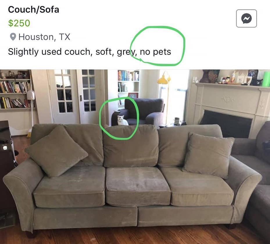 StateOfSelling's tweet photo. “No pets” https://t.co/PpMoLwfacx