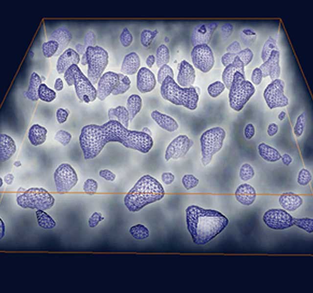 MRSBulletin's tweet photo. MRS Bulletin article highlights the maturing field of #ElectronTomography and the widening scientific applications that utilize #3D structural, chemical, and functional imaging at the #nanometer and #subnanometer length scales. #materialsscience https://t.co/emZyaobcVl https://t.co/3wnpn9swar