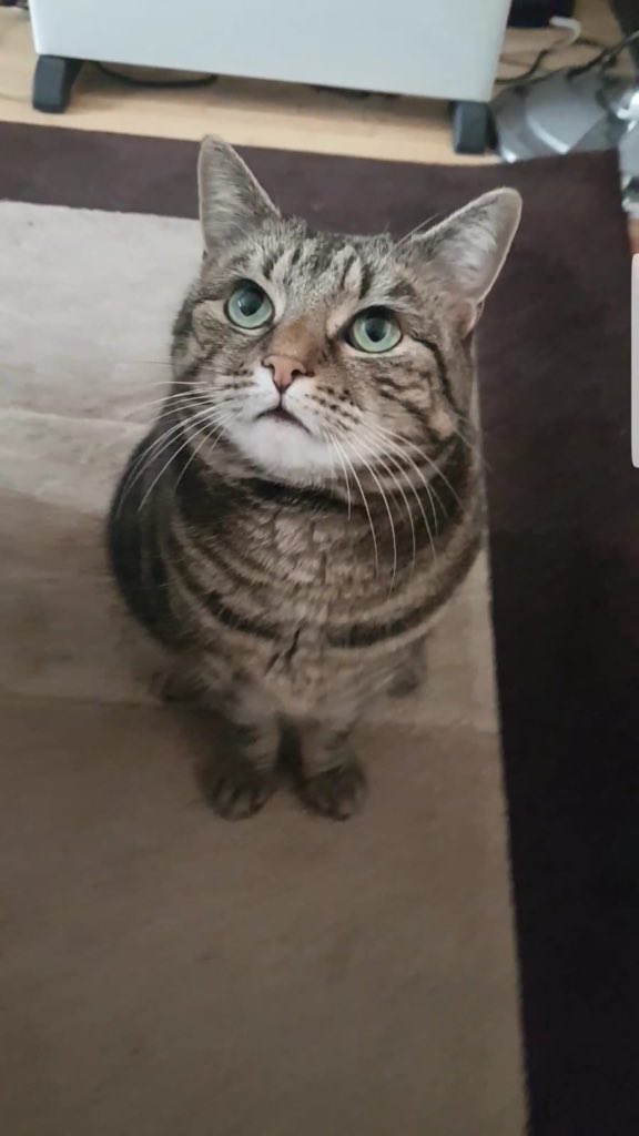 🥰
