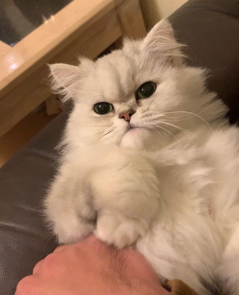 🥰