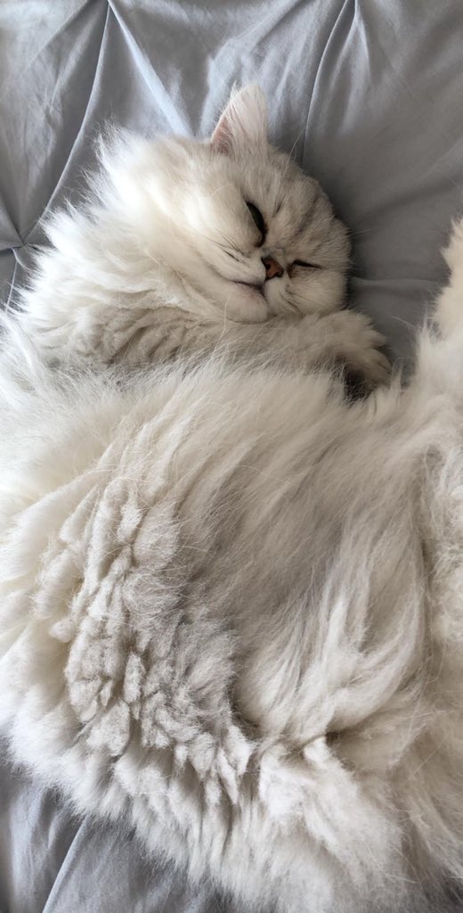 🥰