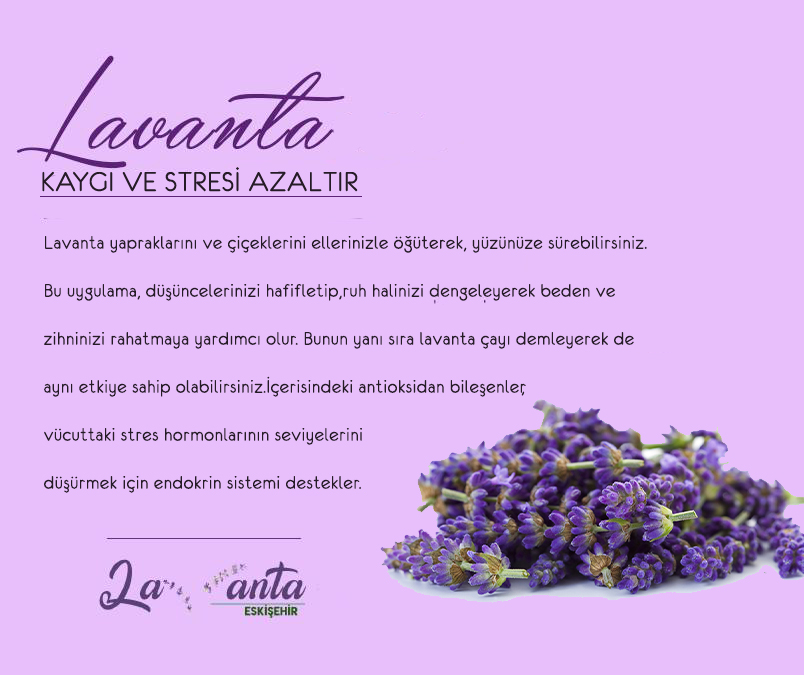 #eskişehir #eskişehirlavantabahçesi #lavanta #levander #lavantaeskişehir #eslavanta #lavantaes #lavantaaşkı #lavantasehri #celalpetrol #celalpetrolurunleri #lavantabahce #bahcelavanta #lavantabahcesi #lavantalar #lavantabalı #bal #honey #lavenderhoney