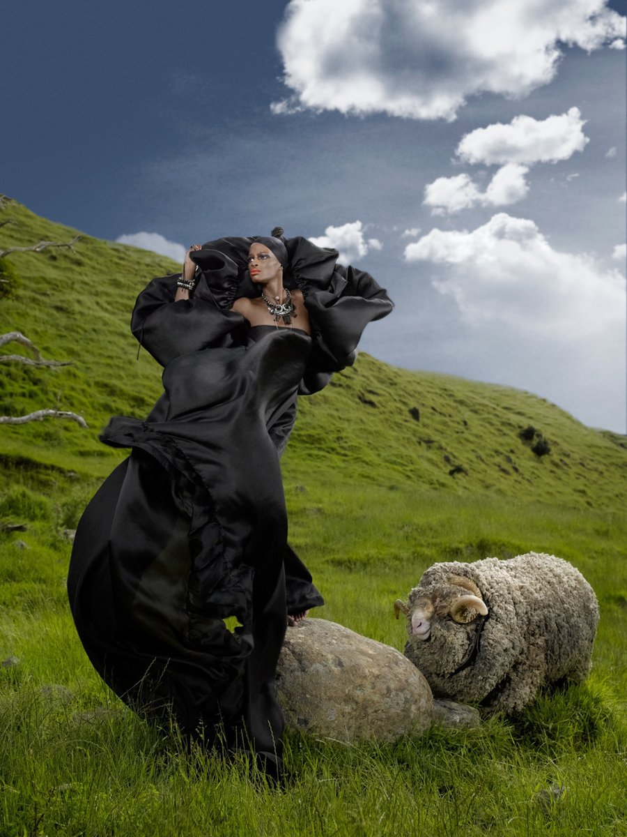 Cycle 14 - KRISTA:Black Dress, White Sheep by Nigel Barker