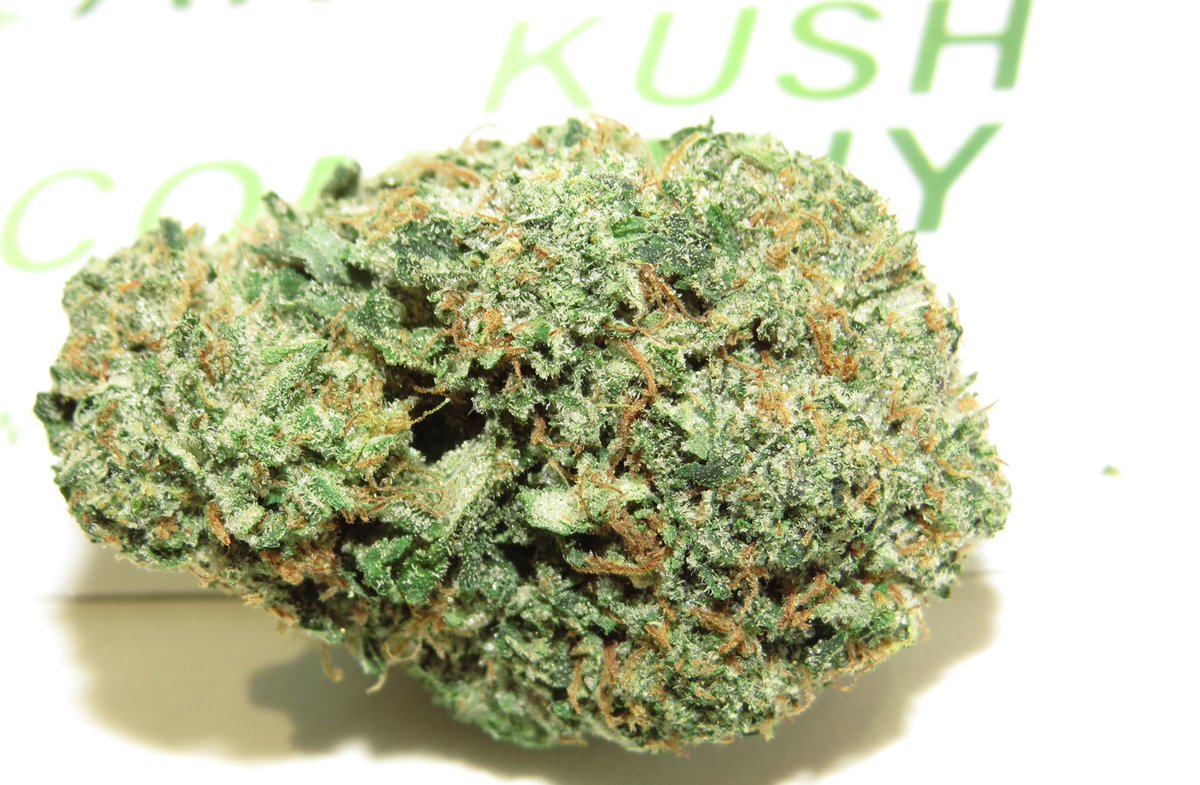 CanadianKushCo's tweet photo. New ROCKSTAR BUBBA #canada420#kush#MOM#orderonline#weed#fire#cankush#maryjane https://t.co/hq2lTZ2Cn7