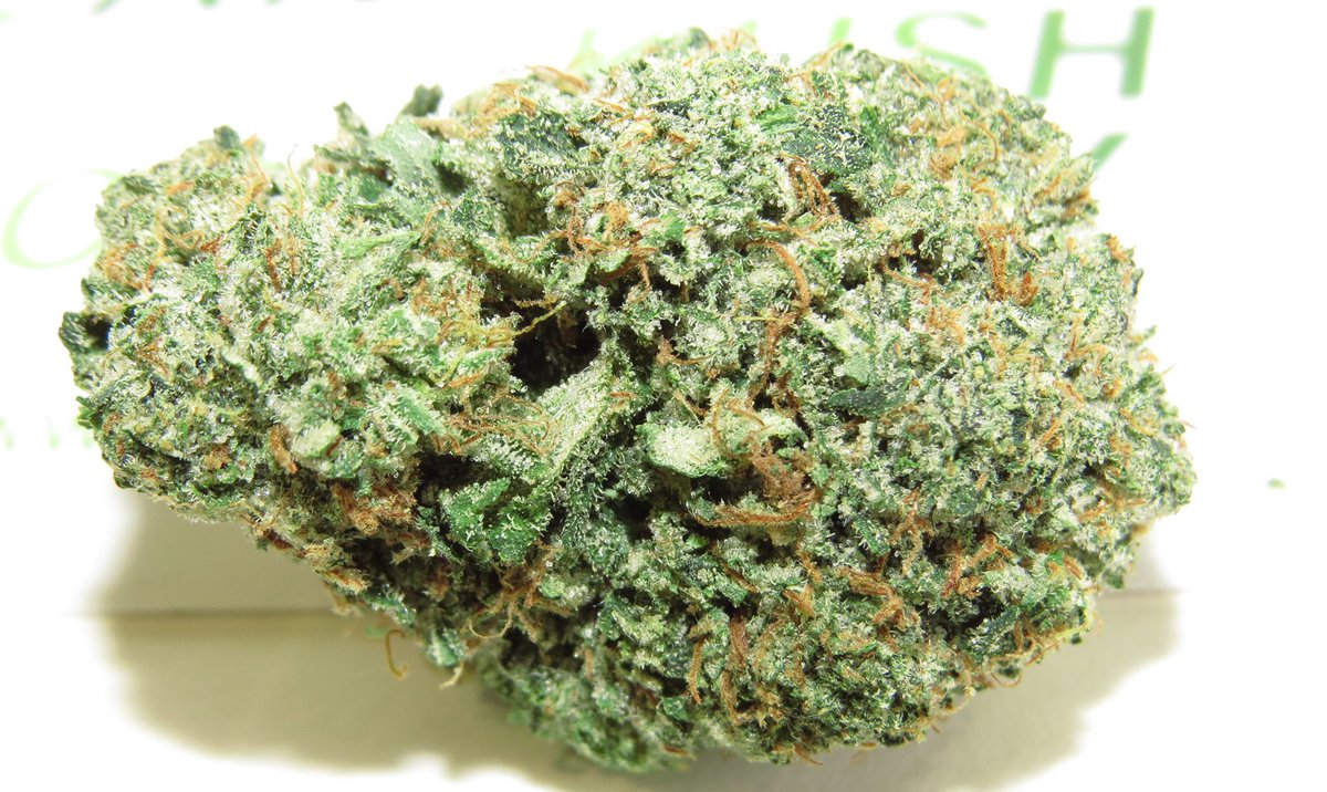 CanadianKushCo's tweet photo. New ROCKSTAR BUBBA #canada420#kush#MOM#orderonline#weed#fire#cankush#maryjane https://t.co/hq2lTZ2Cn7
