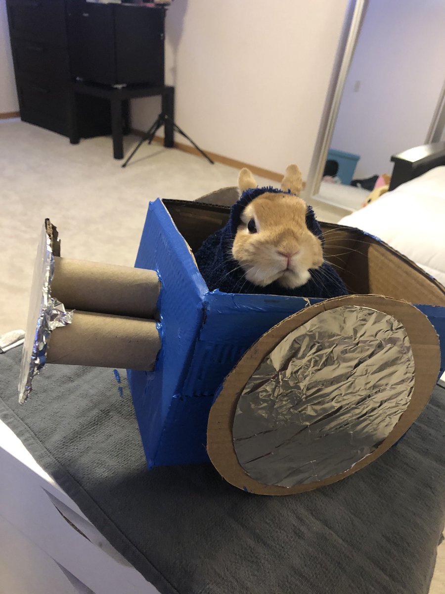 emi ⭐️ tweet media