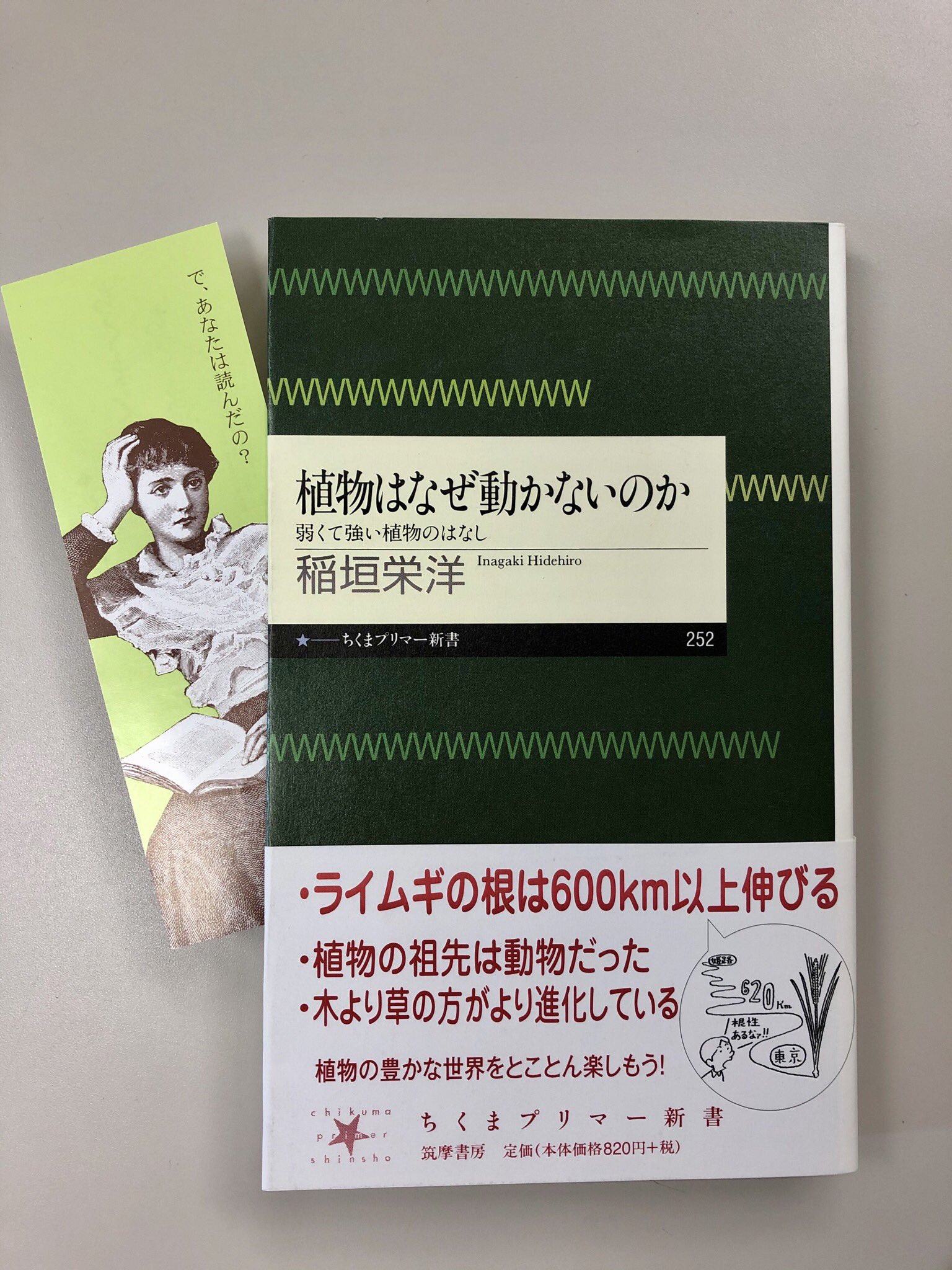 筑摩書房 على X: 