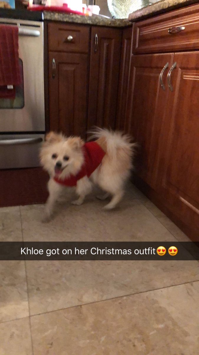 classi100's tweet photo. Rip Khole.. My baby is gone 🐶💔 https://t.co/IfBpQk8o20