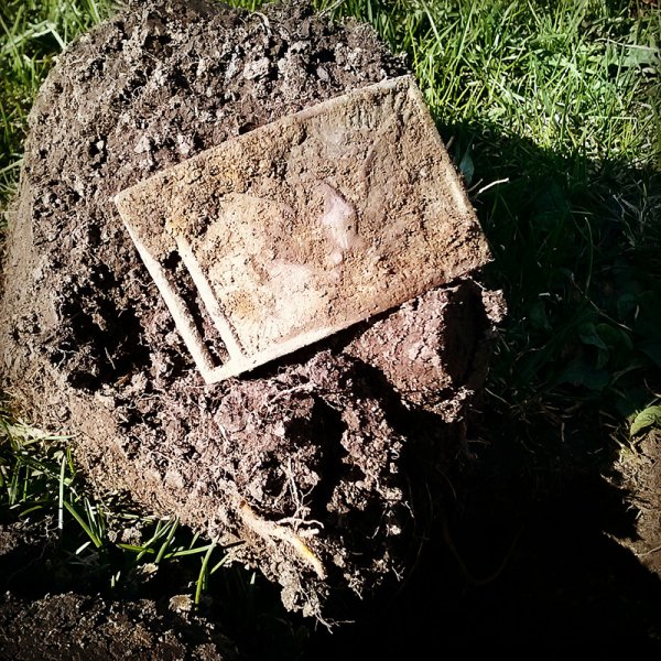 Detecting365's tweet photo. Swing4theRing Hits Home Run! by Clark Rickman https://t.co/VWVNgioEv3 #metaldetecting https://t.co/MPX8DOQPGV