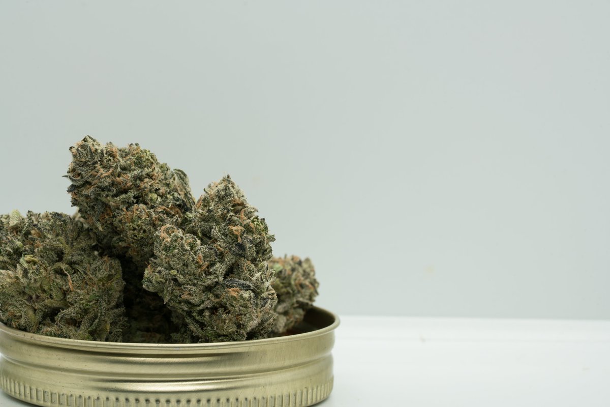 4plantscup's tweet photo. We learned that Scoops #8 variation of gelato x Tina x cookies&amp;cream was grown in the same location, but under 2 different medical licenses. You can find both Pro Medical runners-up on instagram @eveningstarcraft &amp; (again!) @thedevilsfarmer, who submitted Desconocida Kush. https://t.co/etPjBKRuUI