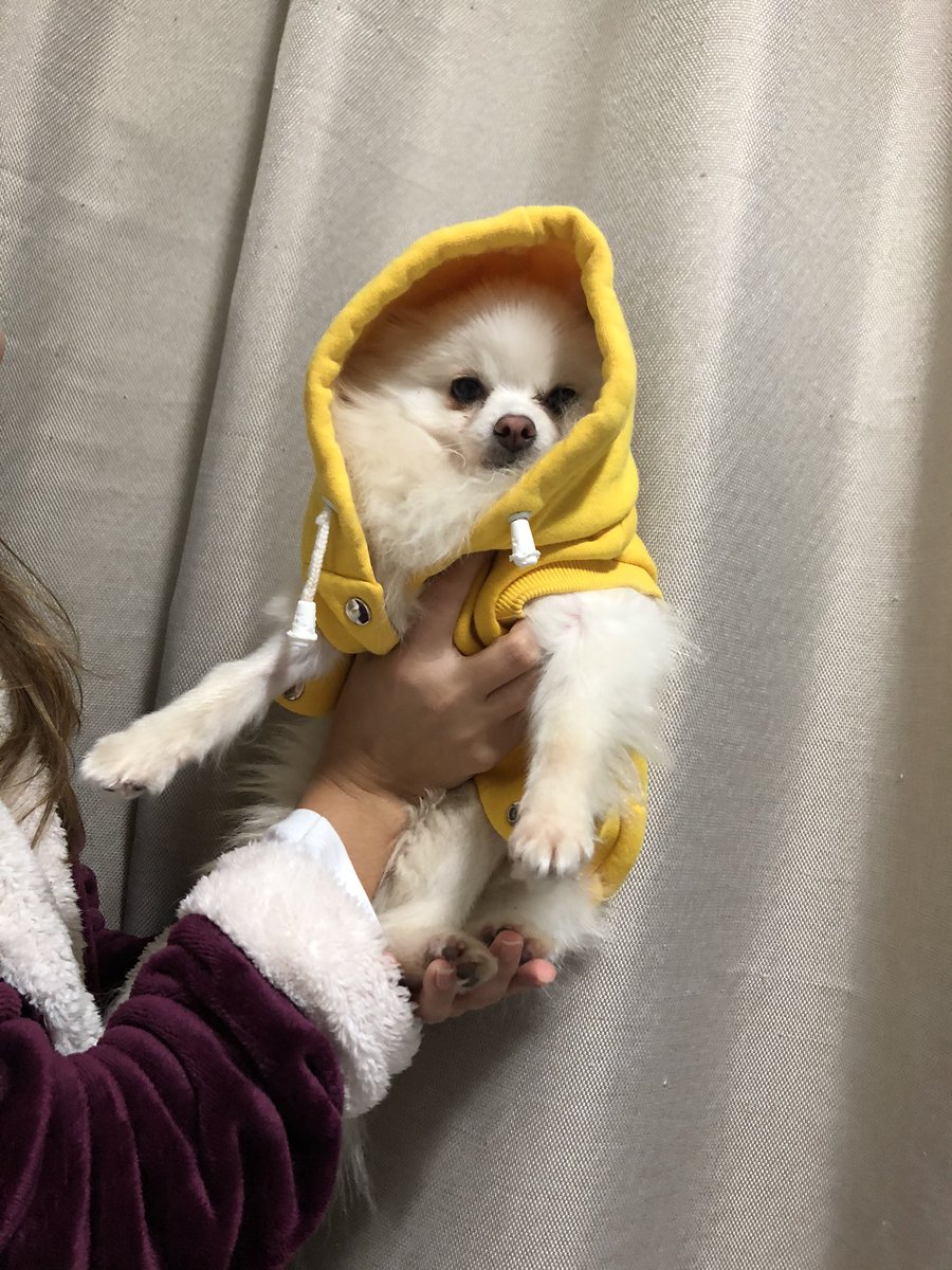 Frio: a                                                            Eu:
