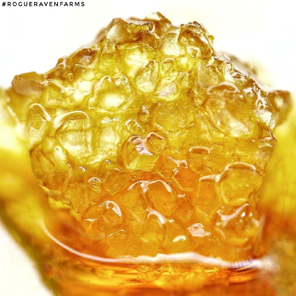 RogueRavenFarms's tweet photo. Some #rogueravenfarms 💎💎's.
#TuesdayTreat 🔥🔥 #cannabis #hightimes #pnw #CannabisCommunity @HIGH_TIMES_Mag https://t.co/ngw8wd20Dj