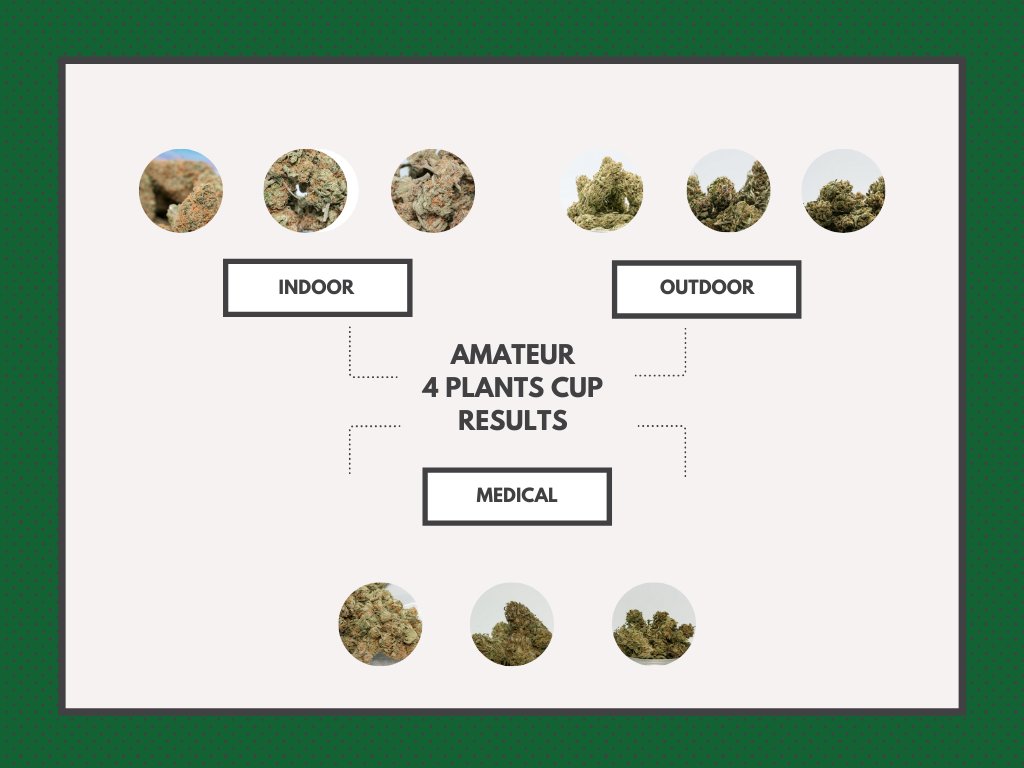 4plantscup's tweet photo. Congratulations to the 2019 #4PlantsCup winners 🌱👇🌱 #thread 🌱🏅🌱 https://t.co/PvBqcLNz75