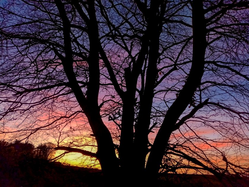 mckinneymura's tweet photo. #sunset #derrydonegal #SocialDistancing #remoteinspiration #walkingfromhome #freshair #Colourpop https://t.co/rzNtcMRrjt