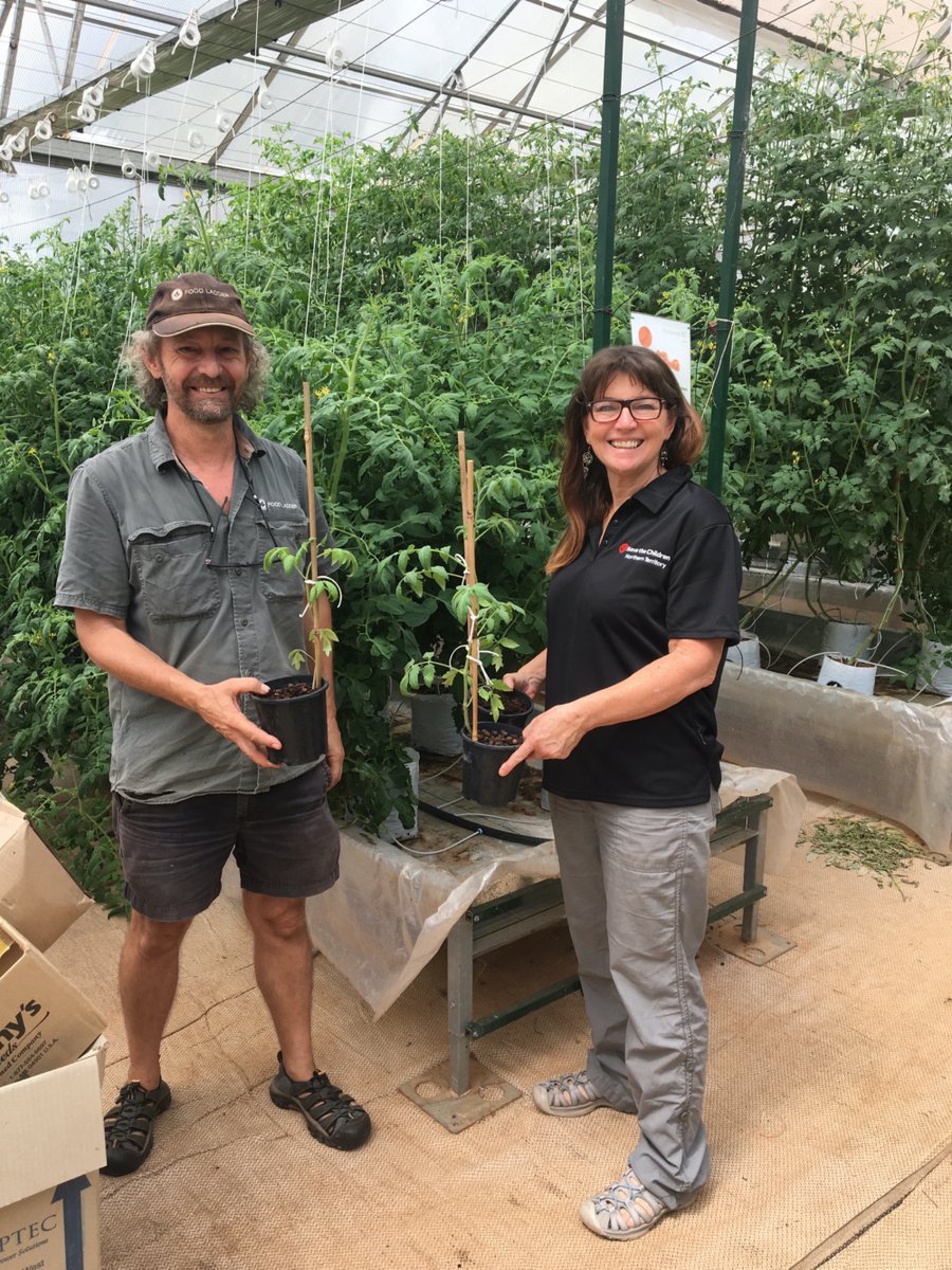 Food Ladder (@foodladder) on Twitter photo We were thrilled to host <a href="/savechildrenaus/">Save the Children Australia</a> who visited Katherine Food Ladder to collect tomato seedlings. Excitingly we will be partnering with the team to establish our first community garden plot, a safe place for support workers & families to interact & learn how to grow food. We were thrilled to host <a href="/savechildrenaus/">Save the Children Australia</a> who visited Katherine Food Ladder to collect tomato seedlings. Excitingly we will be partnering with the team to establish our first community garden plot, a safe place for support workers & families to interact & learn how to grow food.