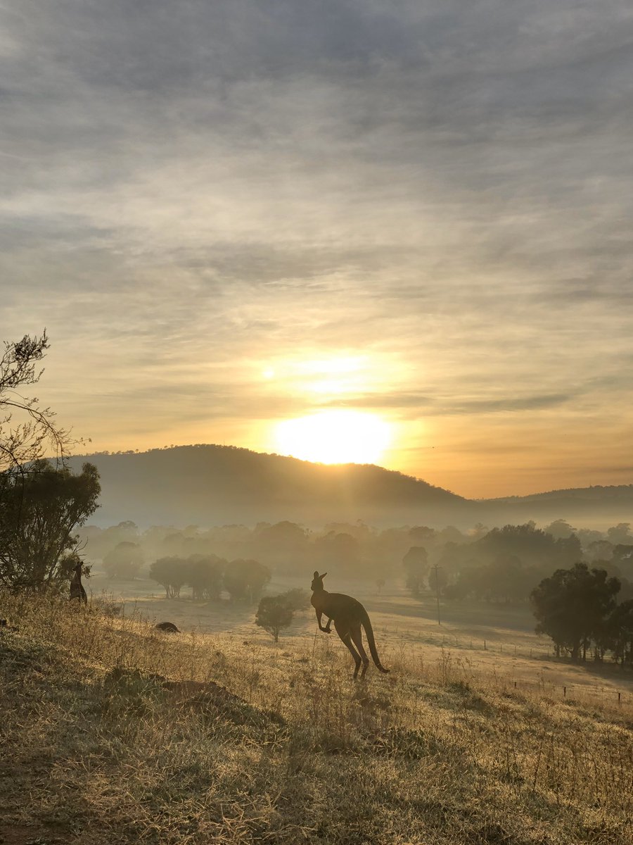 The reward for getting up early
#LoveCBR #Canberra