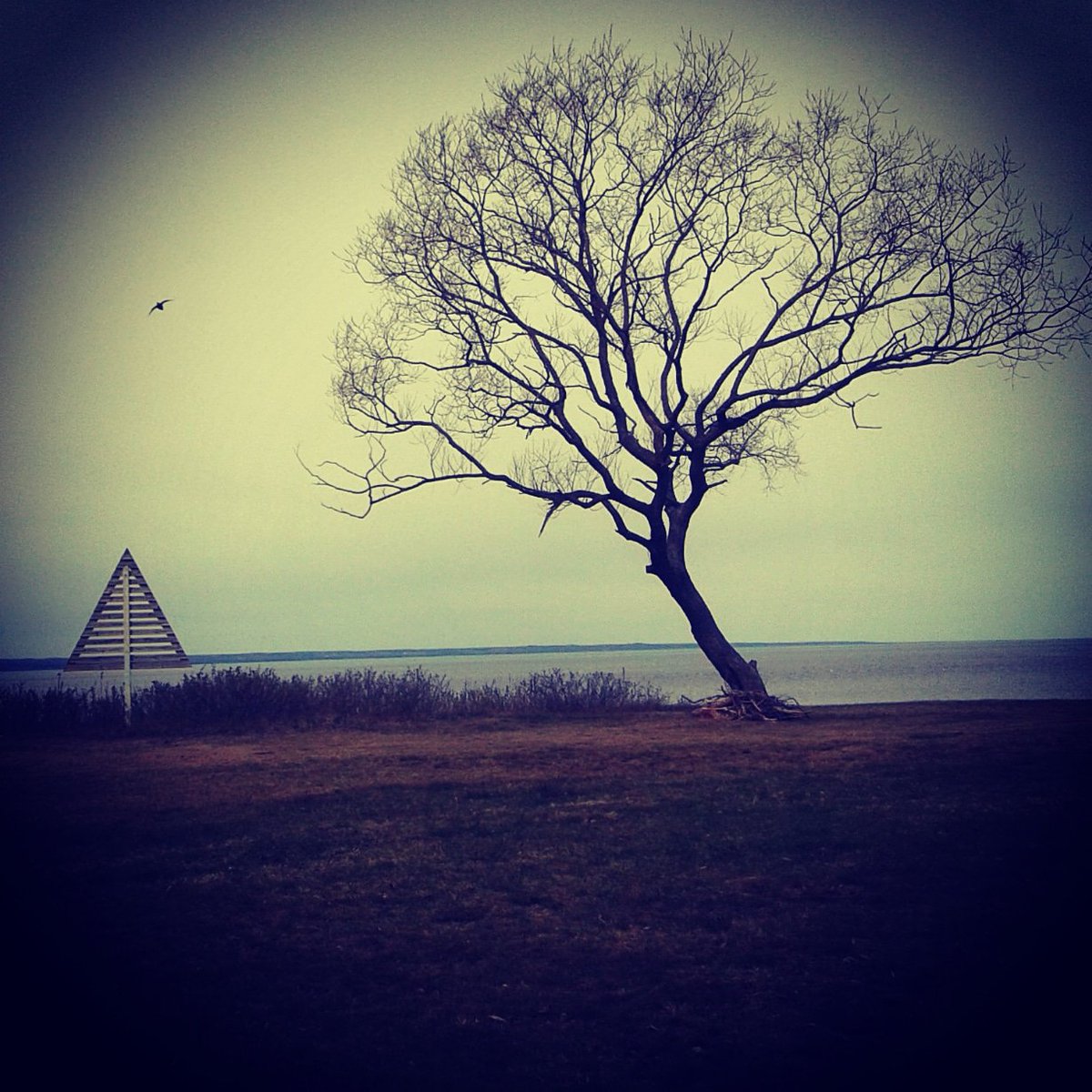 1WindowGallery's tweet photo. #1Tree & #1Bird
South of https://t.co/B5eGnwGUA0 https://t.co/So7tV2kymt