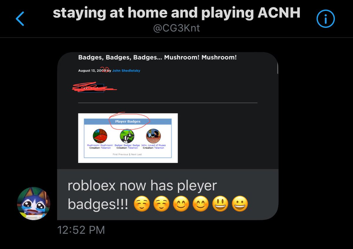Roblox Player Badges
