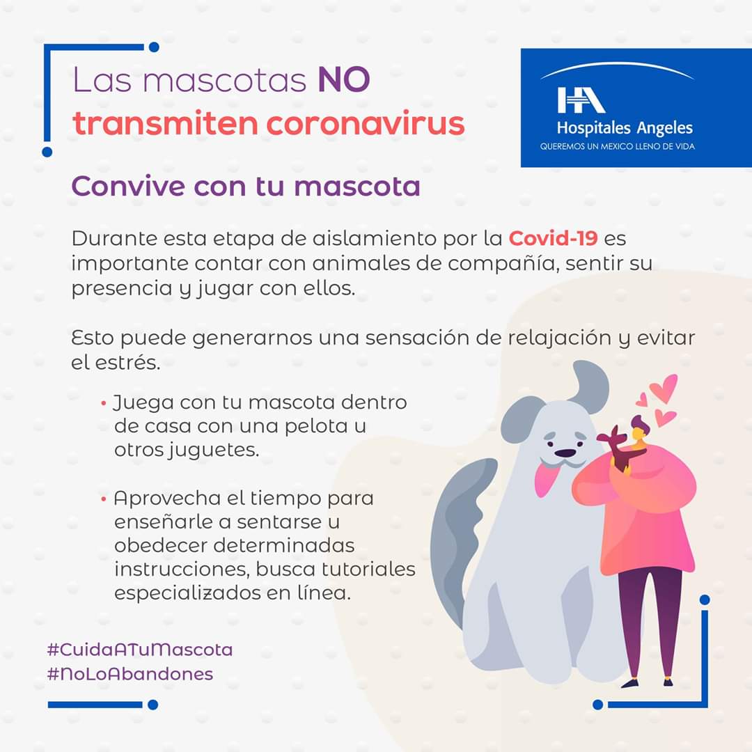 hospitalangeles's tweet photo. Los animales de compañía no contagian el virus que provoca la #Covid-19 a humanos, ni viceversa. En este caso, lo ideal es considerar las medidas de higiene recomendadas para tener una sana compañía con ellas.
Entérate: https://t.co/ytHkDv7lIJ
#pandemia l #mascotas l #coronavirus https://t.co/5kcP5uiSVQ
