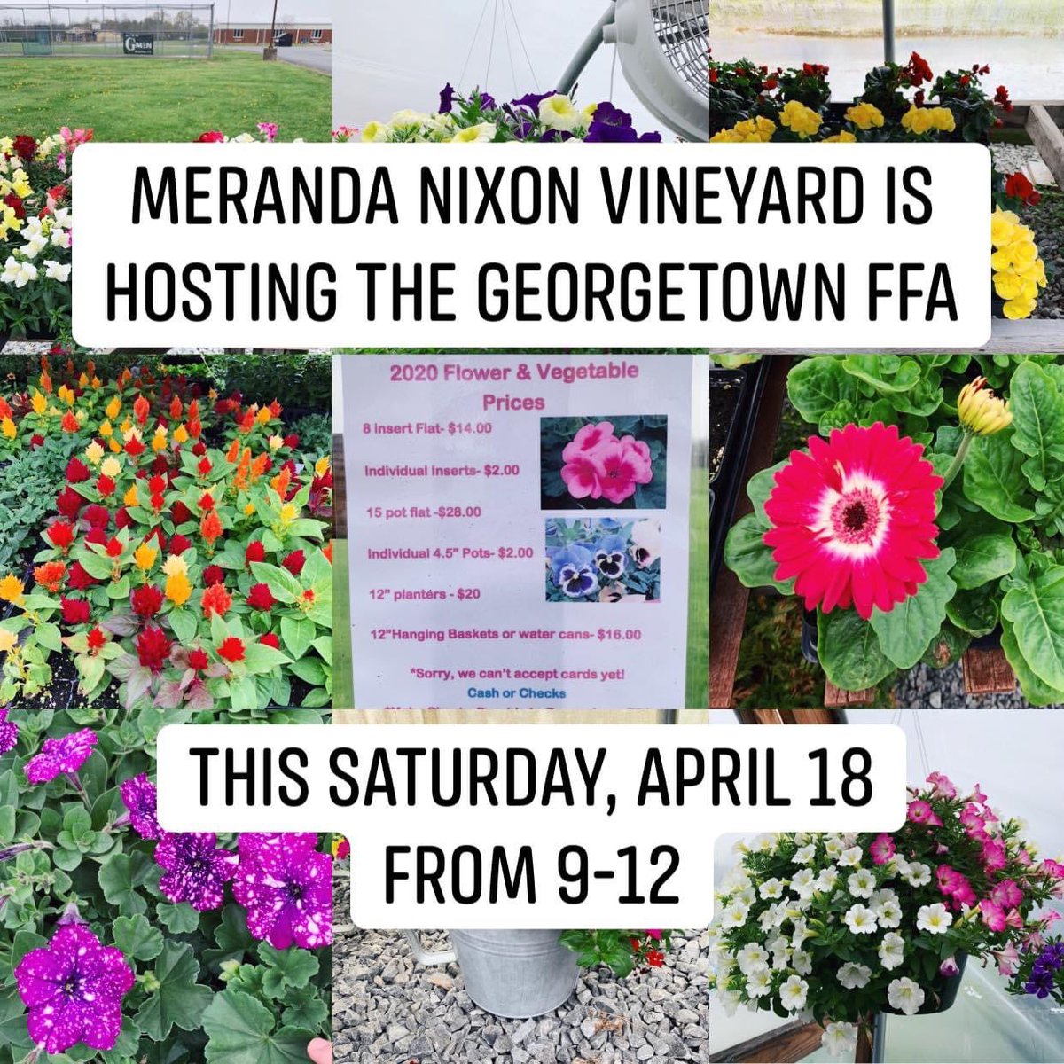 Come visit the vineyard this Saturday and purchase your spring flowers!  The Georgetown FFA will be selling their Flowers outside from 9-12!  We ask you to maintain the approved social distances. <a href="/gtownffa/">Georgetown FFA</a> <a href="/lizzie_meranda/">Liz</a> <a href="/loudonj1/">Jamie Loudon</a> <a href="/gtownjrhighFFA/">Pamela McKinney</a>