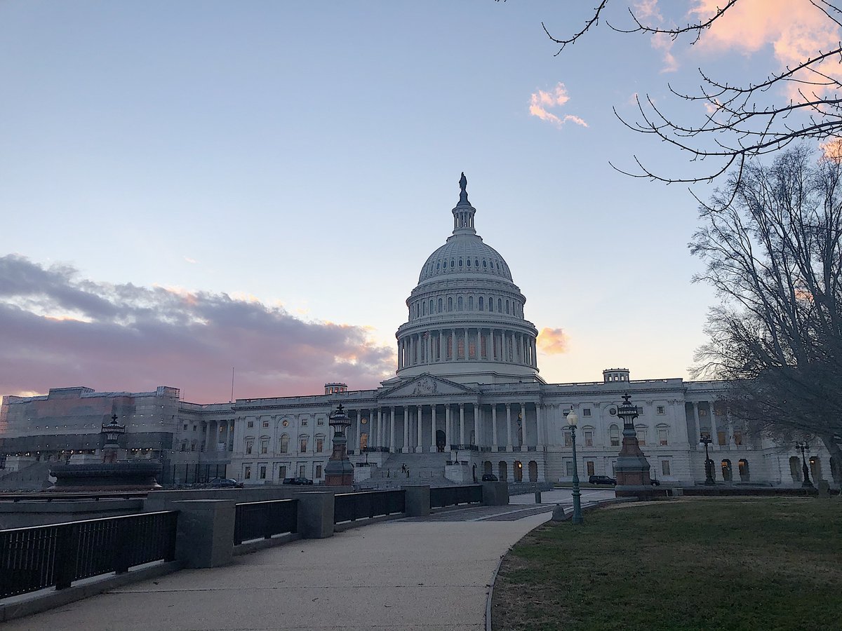 TamuANRP's tweet photo. ANRP intern, Hannah Followill, shows some of the perks of working in DC over the spring semester. The sunsets over the Capitol “almost compares to a Texas sunset” and the cherry blossoms are beautiful this time of year. DC changes with the seasons, but always remains beautiful. https://t.co/thvtknlSA5