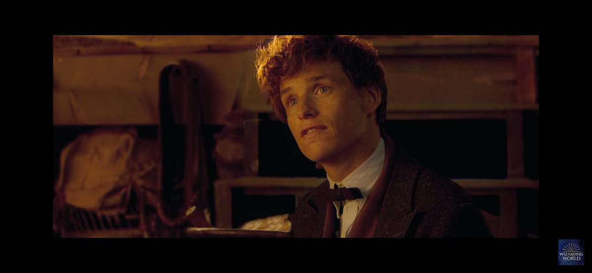 promiseconte's tweet photo. Voi: odiate Tina

Io: Mi godo la scena tagliata in cui Newt muore per Tina mentre canta l'inno di ilvermorny

#Animalifantastici https://t.co/O2PEdIb8JT