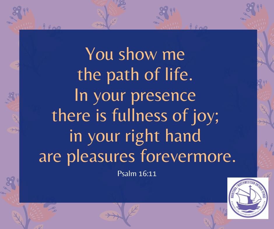 MNO Synod tweet media