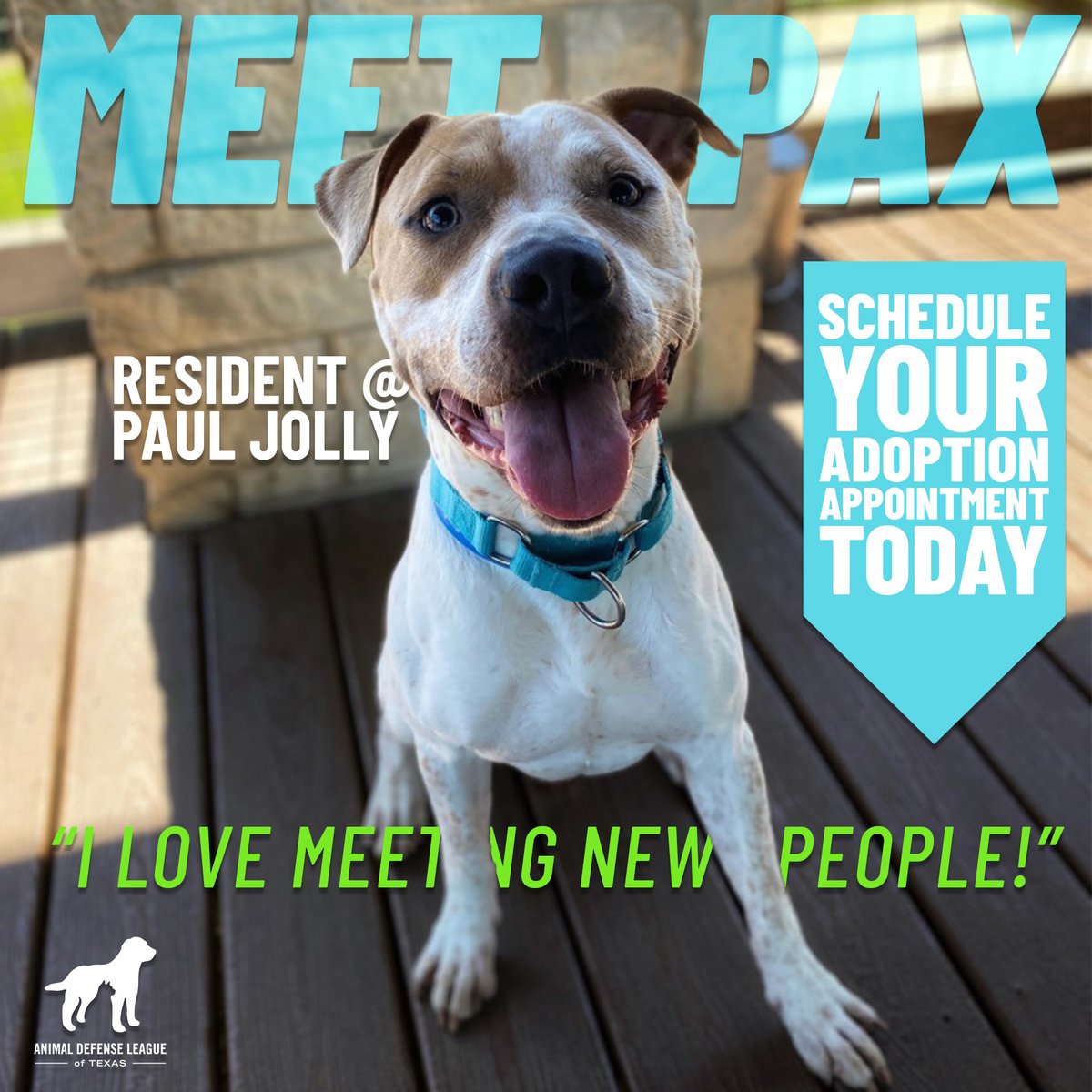 paul jolly adoption center