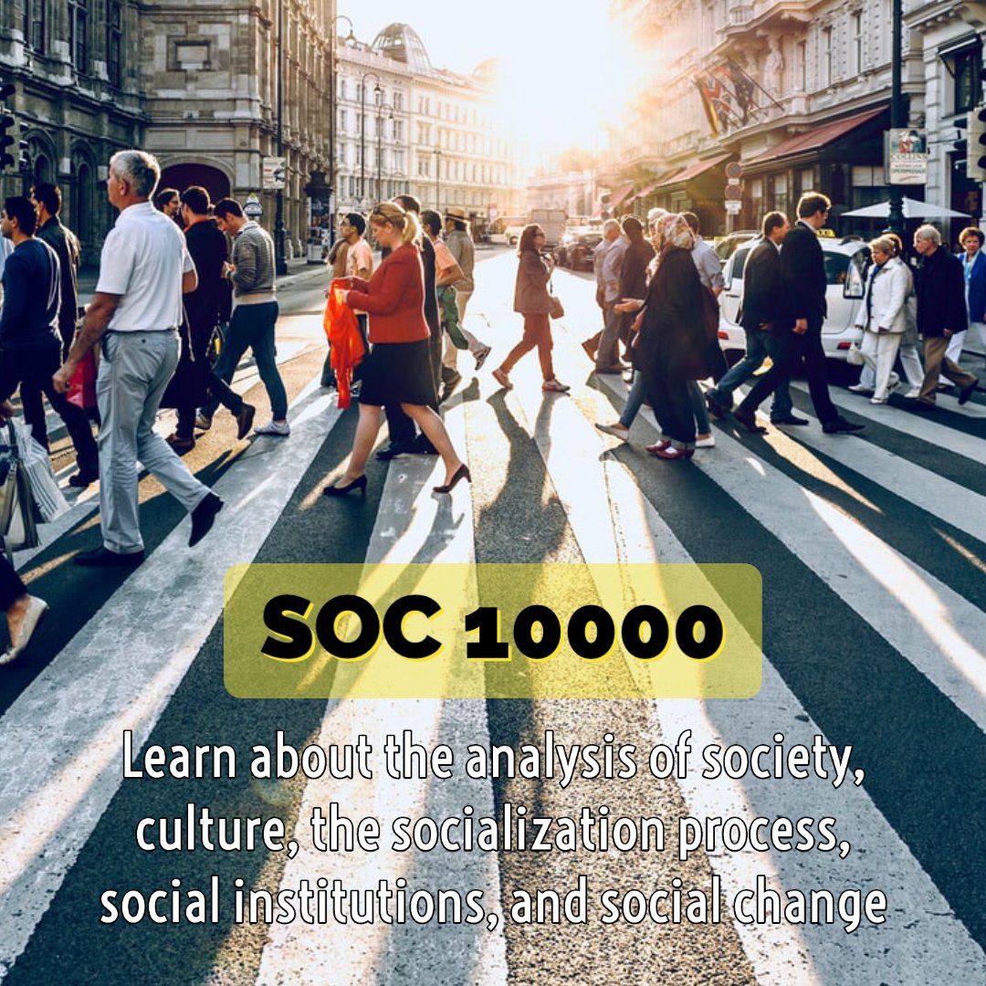 Think_Summer's tweet photo. Need a humanities credit for your university core? SOC 10000 Introductory Sociology is offered on campus and online this summer! Check out the Think Summer Website at https://t.co/QkydhyaoMW to learn more. https://t.co/8kRzGw6d1S