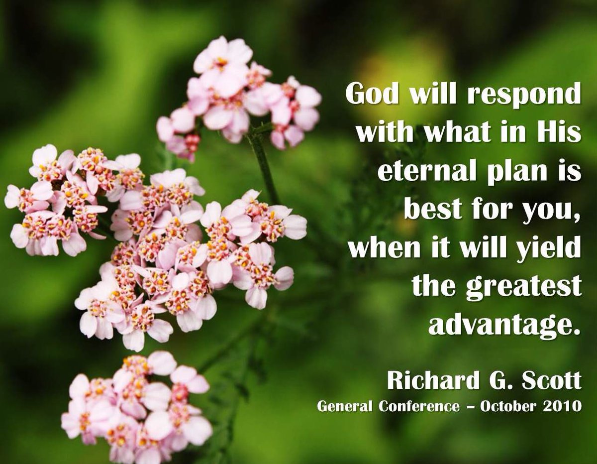 DRidgeSeminary's tweet image. &quot;[A]fter much #tribulation, the Lord did hear my cries, and did answer my #prayers.” (#Mosiah 23:10, 21-22).
.
#RichardGScott #ElderScott #generalconference #BookofMormon #Mosiah23 #AlmatheElder #adversity #prayer #triedinallthings #strivetobe #goanddo #comefollowme #HearHim