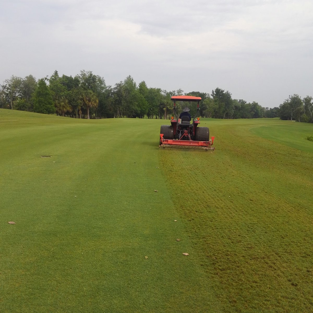 BryceGibson8's tweet photo. Another busy day keeping course ready for members to come back #COVID19 closure. Paint practice poles,  more stump grinding and a little help from Director of Golf @jaykenn72 #TerraRake fairways. #dayinthelife #thisismyoffice #sactuaryinthecity #Turflife https://t.co/4Srim2pX7P