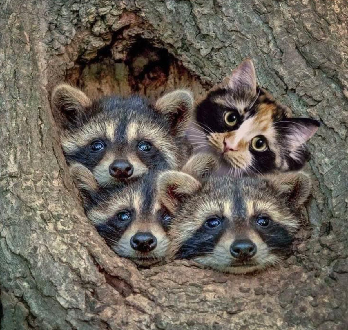 When we realize we’re all in this together, our differences seem less important. #StayHomeSaveLives #InItTogether