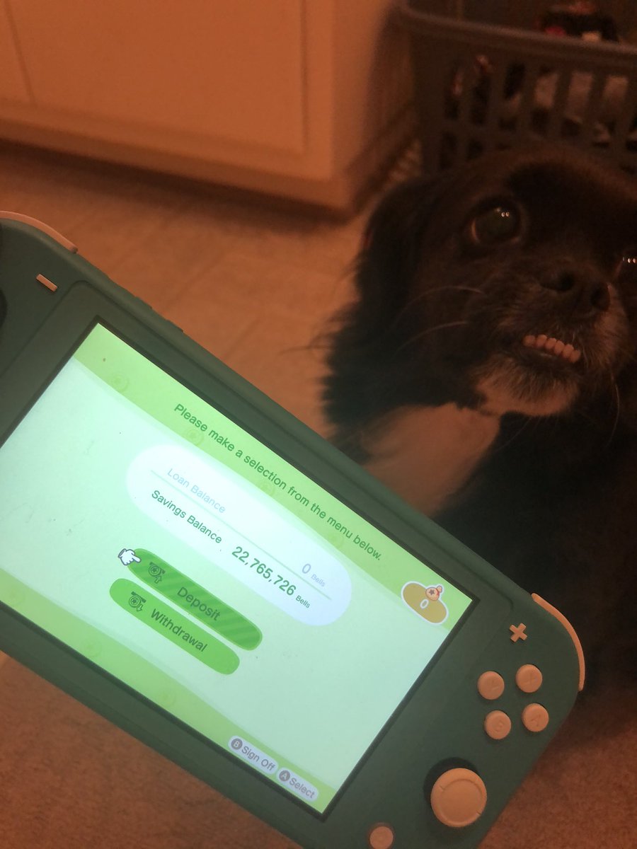 chillyhalzz's tweet photo. i’m looking to help some friends out 🥺 do you have a debt? i’m helping out a few (a lot) people who need help paying off their debt from tom nook! just retweet this, comment, and dm me! trying to help out 🥰🥰 #dodocode #turnipprice #turnipCode #animalcrossing https://t.co/gq1rLqR9FI