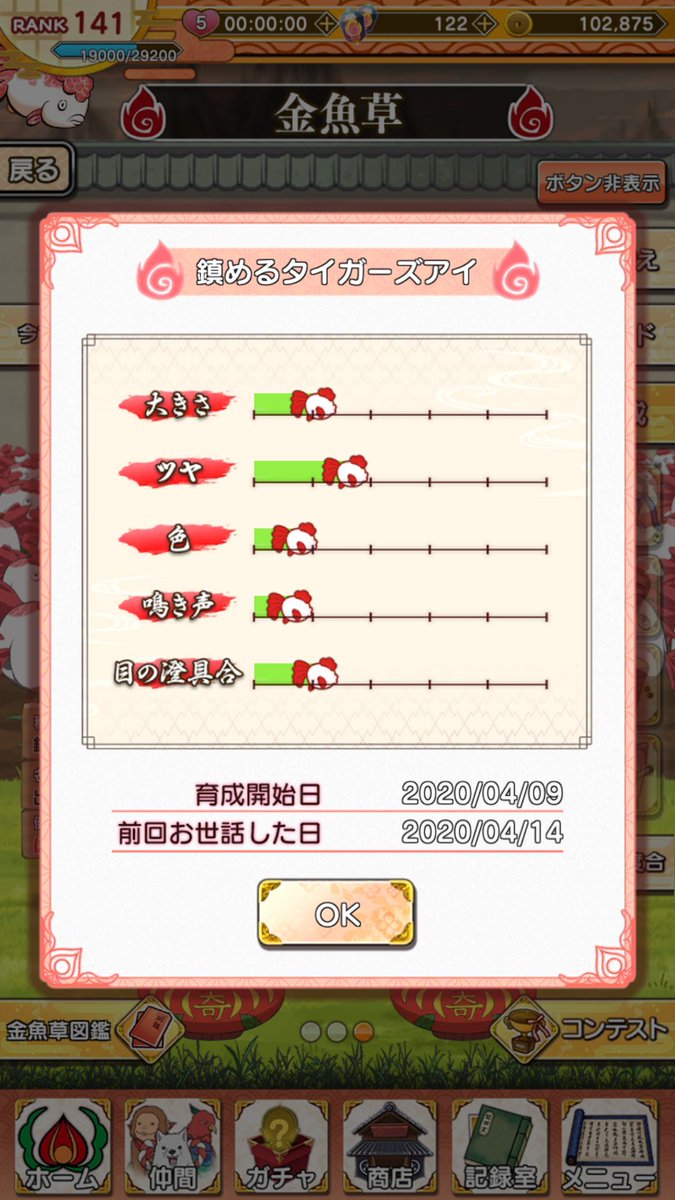 金魚草攻略 金魚草攻略